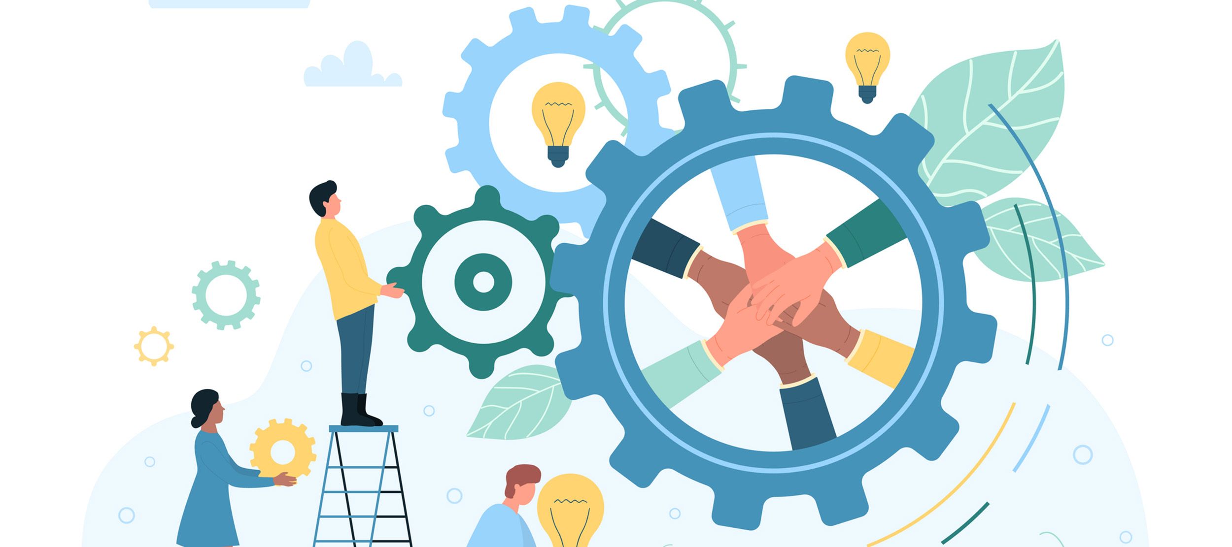 When Custom Software Solves Real Business Challenges